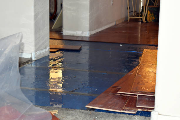 Professional Sewage Cleanup technician working in Courtland, AL